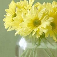 头像风景清新淡雅 淡雅风景头像高清