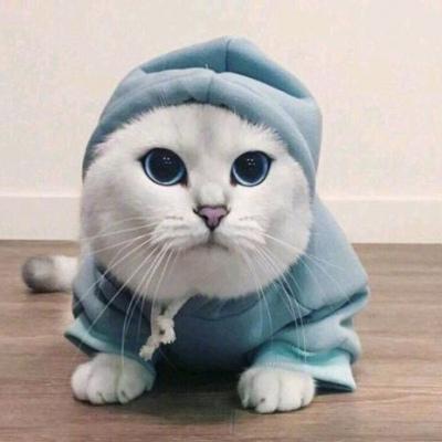 情侣头像猫咪 情侣头像猫咪图片卡通可爱