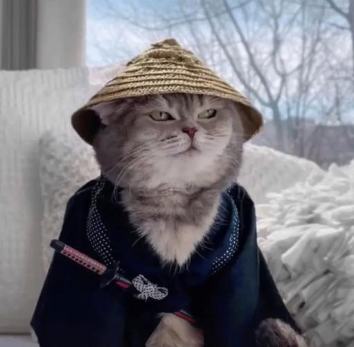 搞怪动物头像 小动物搞怪头像