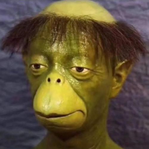 又丑又搞笑的头像 又丑又搞笑的头像图片难看