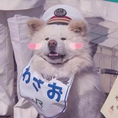 头像沙雕可爱 头像图片可爱沙雕