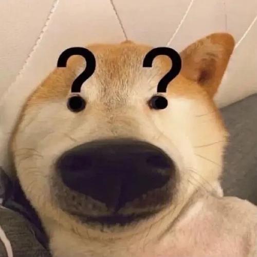 头像图片搞笑 搞笑图片头像大全