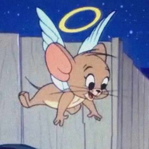 老鼠头像图片大全可爱 图片头像老鼠头像