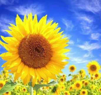 男士微信头像阳光积极 男人积极阳光的微信头像