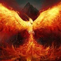 重生头像图片大全 重生的图片大全