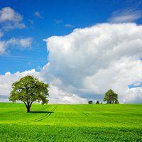 微信头像图片大全风景 微信头像风景图片精选