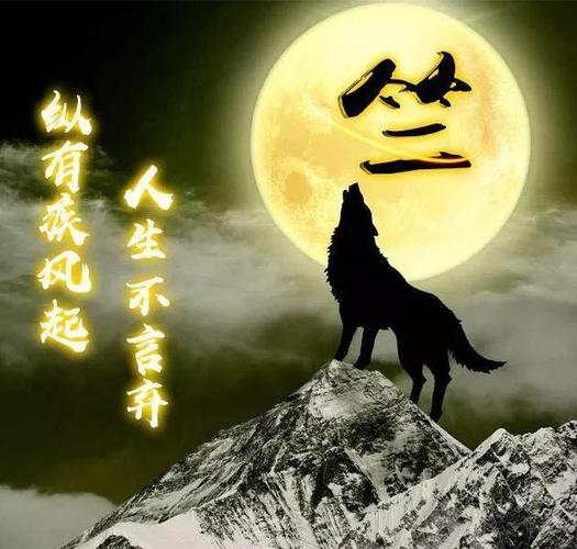 狼头像霸气高清图片 狼的头像霸气十足图片