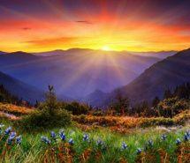 最美微信头像图片精选 微信最美头像图片精选有趣