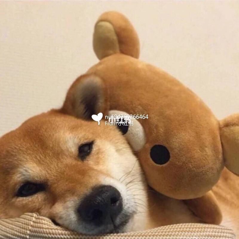 一半可爱一半霸气的闺蜜头像 霸气又可爱的闺蜜头像两张