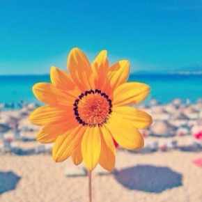 微信头像阳光 微信头像阳光