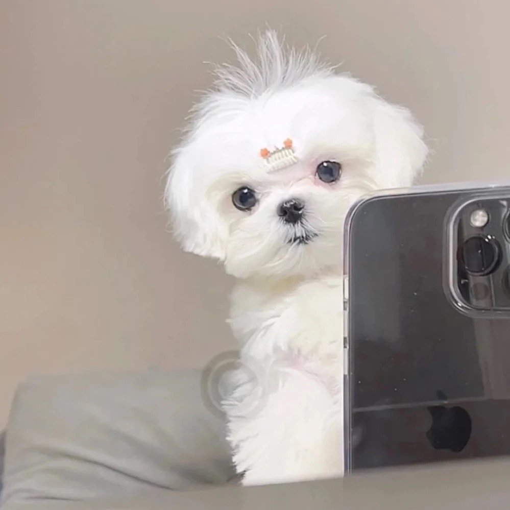 高质量修勾头像图片 修勾可爱头像