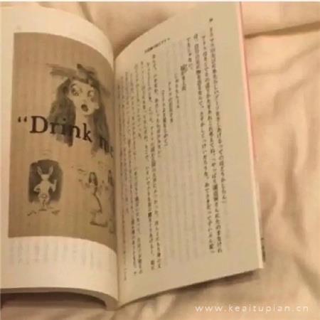 小清新唯美静物图片大全