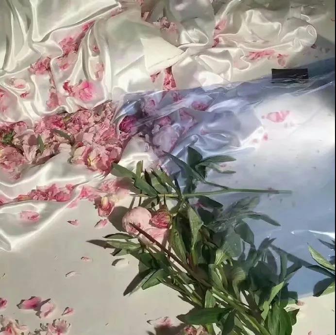 花的图片朋友圈背景|浪漫又唯美
