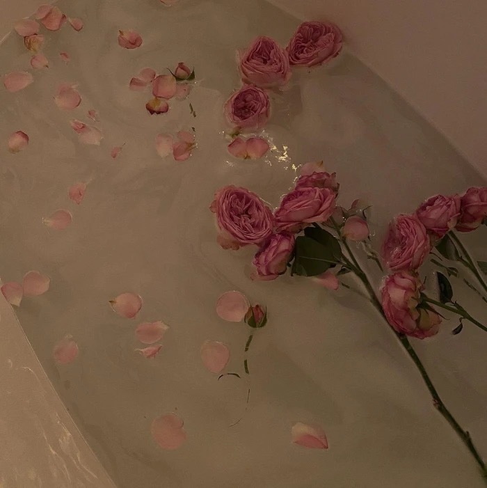 好看背景图片|精选一些与花有关的唯美浪漫