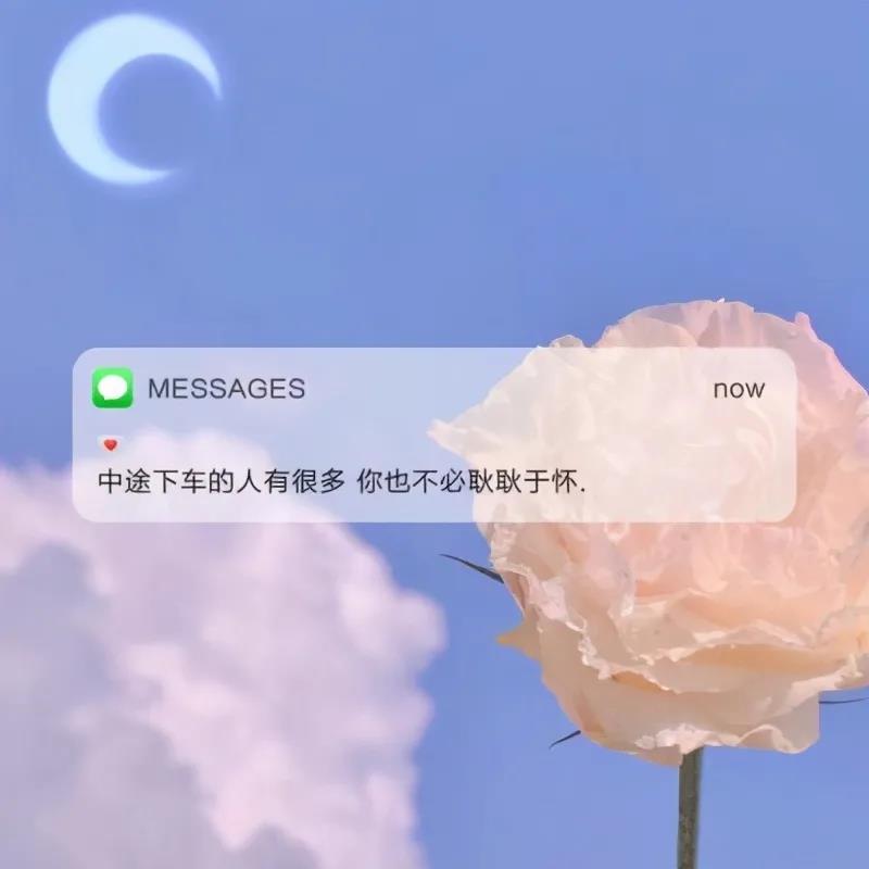 清新唯美的花朵微信信息背景图片带字清新又洒脱