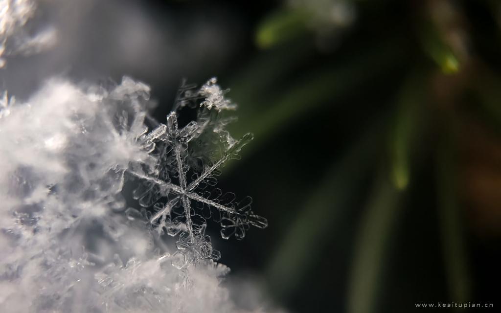 冬天好看唯美的雪花电脑桌面壁纸图片
