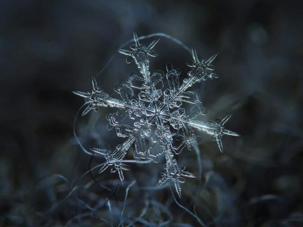 好看你就像天上飘落的雪花让我每次都期待图片