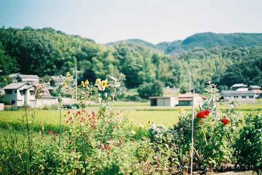 唯美那些在乡村里美好的光景想好好拥有图片