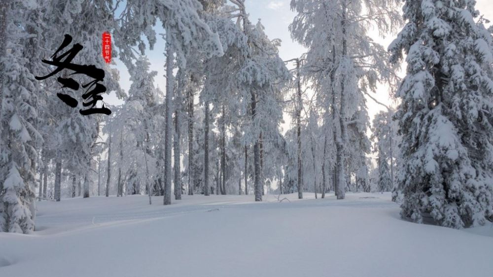 漂亮冬至时节养眼冰雪世界迷人风光图片