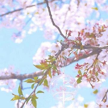 超美粉色小花大全，粉色花朵适合做头像图片