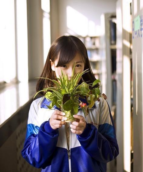 清纯甜美可人的校园美女小清新唯美壁纸图片