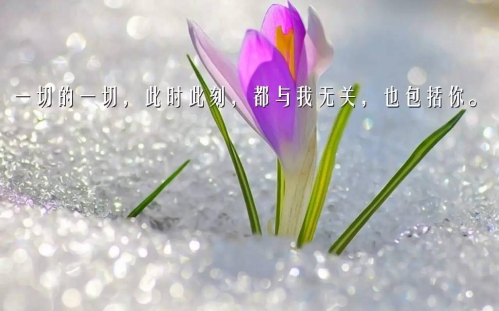 好看的微信早安励志的句子致自己简短图片