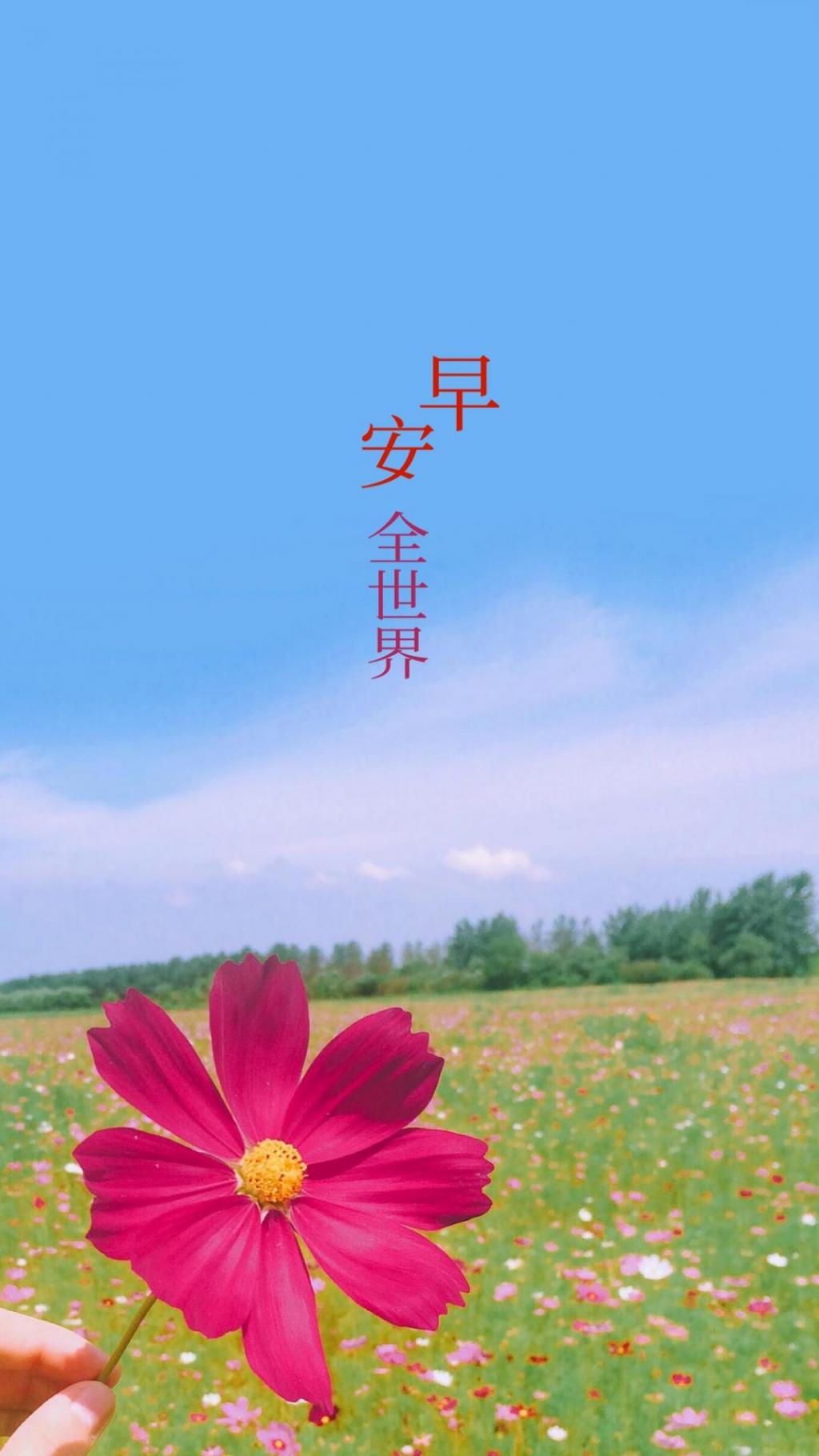 唯美早安,我的全世界图片