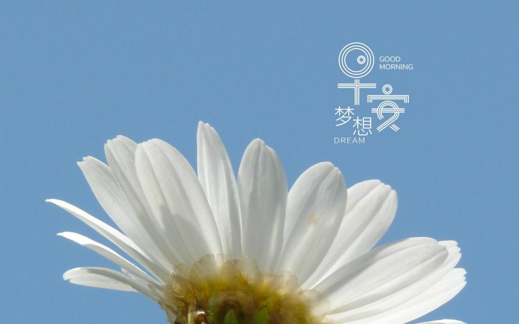 [图]早安暖心问候语图片