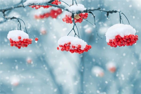 梦见下雪是什么意思？