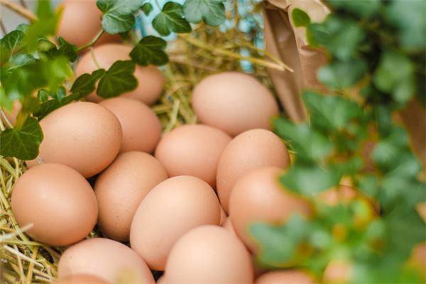 女人梦见好多鸡蛋