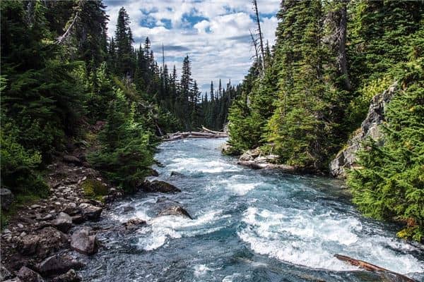 梦见湍急的河流是什么意思