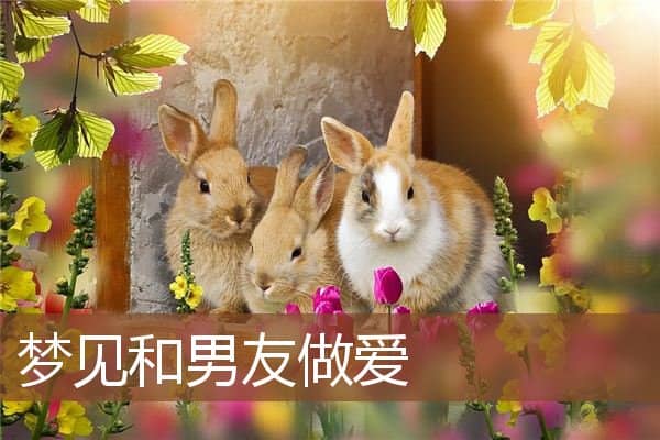 梦见和男友做爱是什么意思