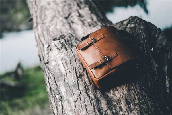 梦见丢包了是什么意思