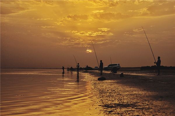 梦见钓鱼鱼很快上钩是什么意思