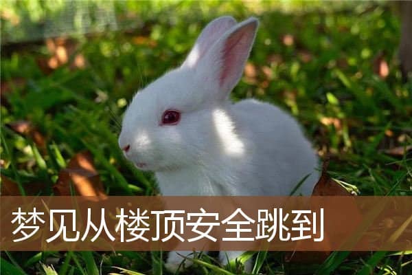 梦见从楼顶安全跳到是什么意思