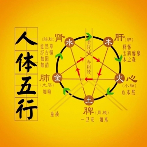 八字命理，五行看疾病
