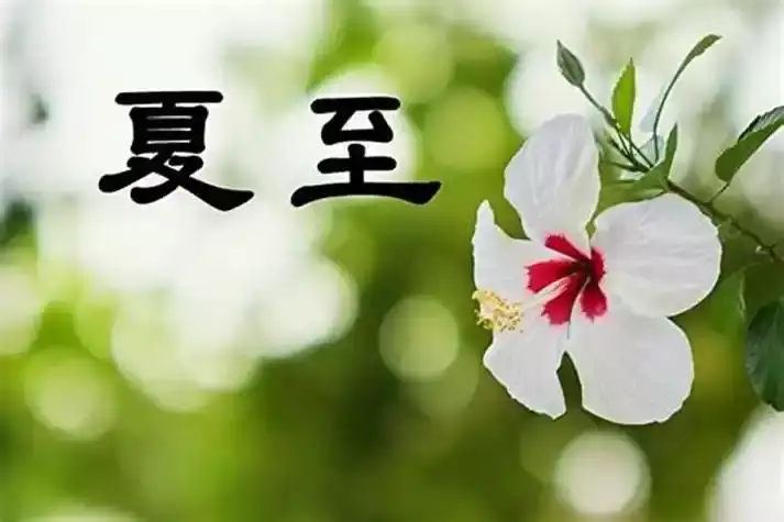 夏至是什么意思？最长白昼里的秘密