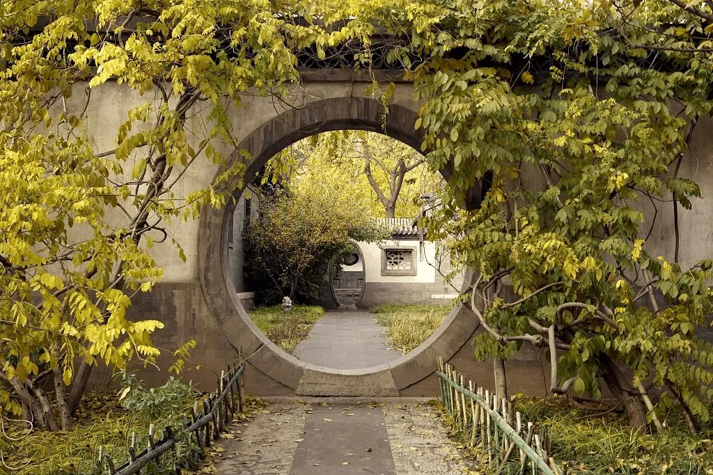 为什么墙生花草，家风不牢？这种植物不能种！