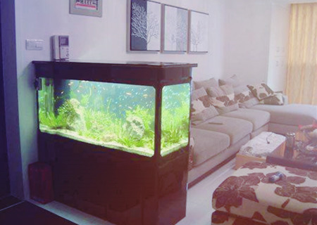 家中鱼缸有哪些摆放禁忌?