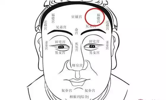 面相福德宫怎么看？从福德宫看紫微星的命运走势