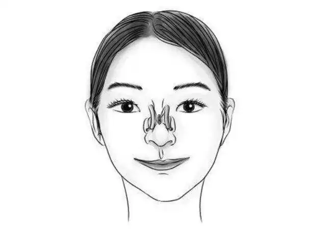 塌鼻子面相的人性格与运势解析