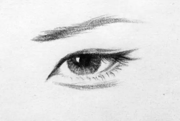 丹凤眼男人全解析：性格、魅力与命运