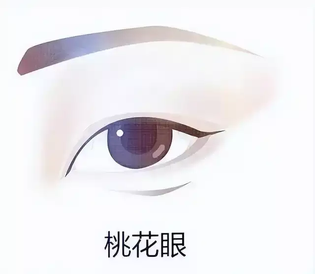 迷死人不偿命！桃花眼到底有多吸引人