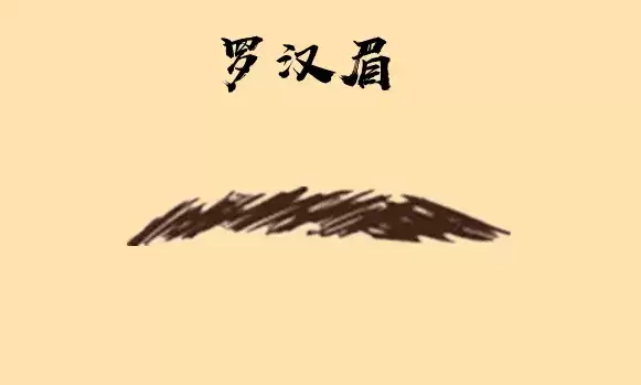 罗汉眉到底长什么样？一眼看懂性格与运势