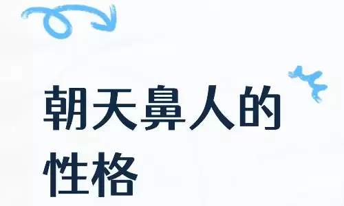 朝天鼻的男人有什么性格特征