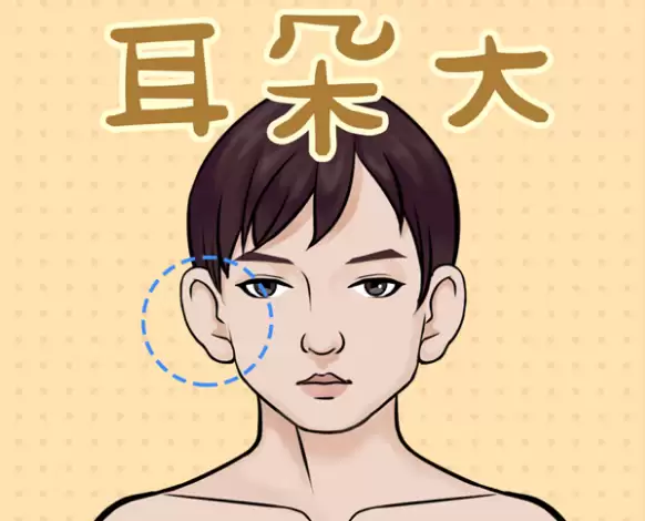 耳大有福，这种说法是否可信