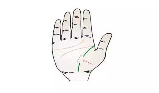 生命线断开意味着什么？健康与运势全解析