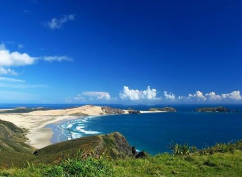 财富纹在哪里？财富纹是什么样的？