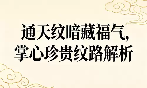 通天纹暗藏福气，掌心珍贵纹路解析