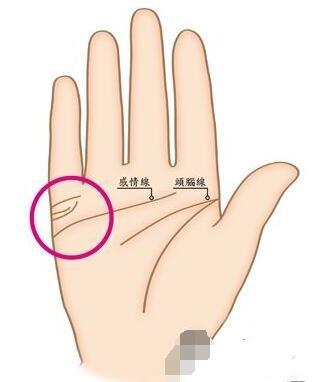 婚姻线是哪一条怎么看,如何看手相婚姻线